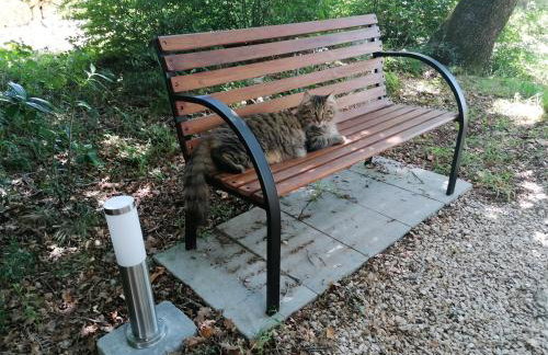 The Forest House Krk 2 - Photo 59