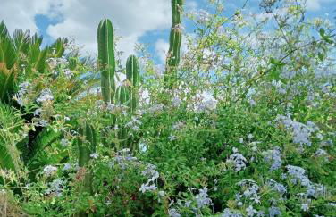 Villa MariaRosa - Foto 7