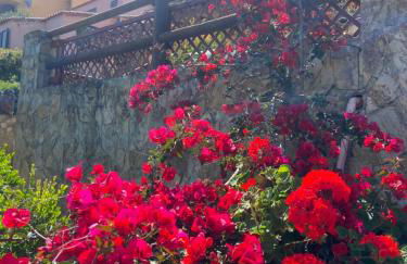 Casa Vacanza Violet 2 - Foto 16