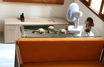 Cardeiro Flat - Foto 7