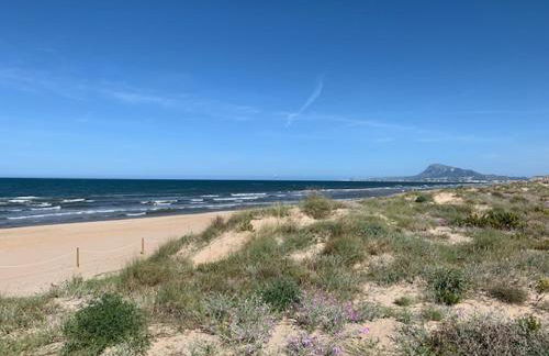 PALMERAS EN LA PLAYA - Beach House in Oliva - Photo 23