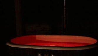 Countryside Shepherds Hut with hot tub wood fired - Foto 3