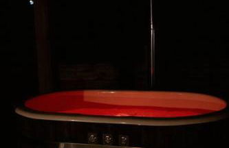 Countryside Shepherds Hut with hot tub wood fired - Foto 3