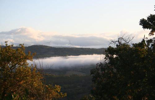 Sasseta Alta - Foto 51