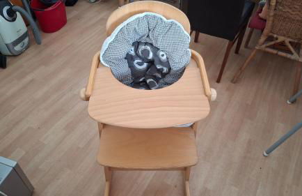 Ferienhof Ziegler- Sonnenschein - Foto 41