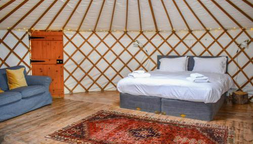 Russet Yurt - Ukc6945 - Foto 4