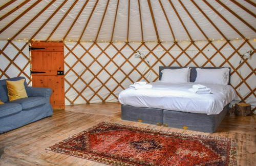 Russet Yurt - Ukc6945 - Foto 4
