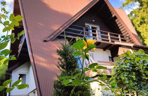 Całoroczny dom nad Jeziorem Rożnowskim - Foto 1