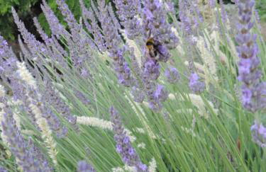 La Suite Gregoire - Foto 2