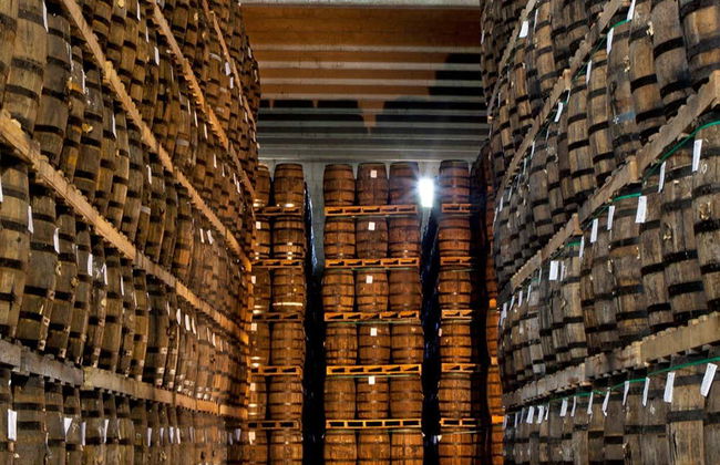 Visita al Centro Histórico Ron Barceló - Foto 5