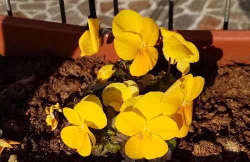 Ca' del Laki - Foto 19