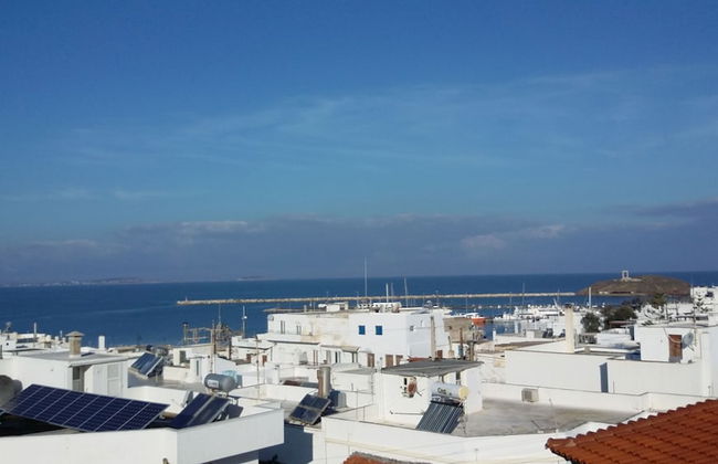 Gatis House - Photo 54