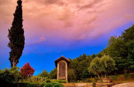 Villa no Douro - Quinta de Pias - Foto 30