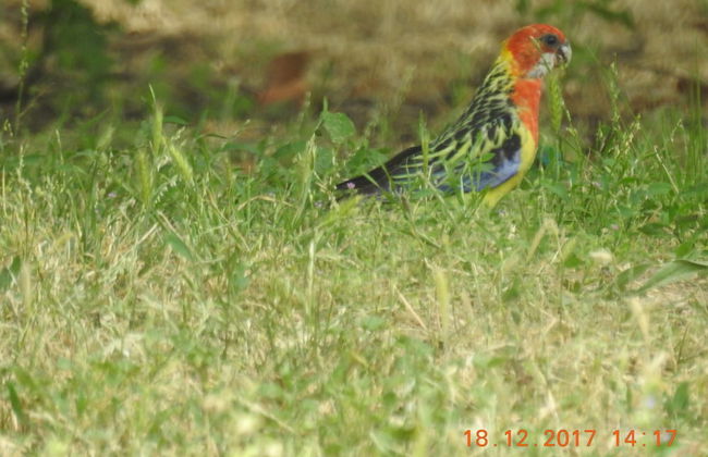 Barkly Suites Apartments - Foto 26