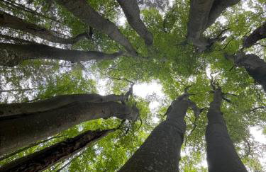 Dom w Trawach - Foto 6