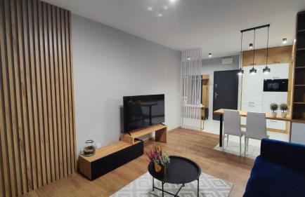 Apartament przy Parku Śląskim - Foto 1