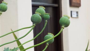 The Stableyard - Foto 4