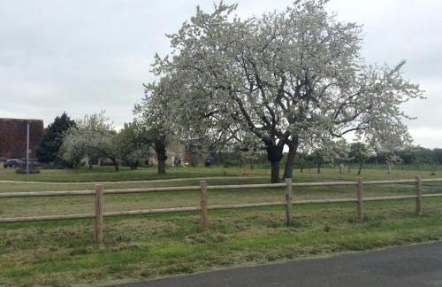 La Huberdière - Foto 44