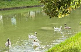 Bright Studio with Private Terrace near Nymphenburg Castle - Photo 11