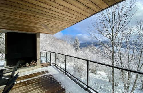 L'Avancée Chalet contemporain au coeur du Sancy AUVERGNE - Foto 39