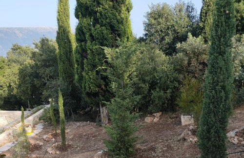 Villa Sasà - Foto 65