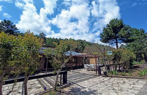 Chalet lujo en finca Zafiro lagunazo Riopar 5 o 3 dormitorios y 3 Baños Parque Natural del Rio Mundo - Foto 74