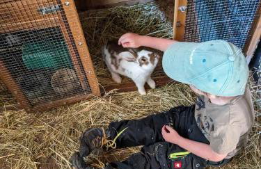 Fewo Schwarzwälder Blattert - Photo 14