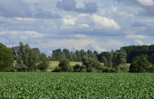 Ferienhaus-Natur-Erholung-Pur-Mecklenburgische-Seenplatte-zwischen-Mueritz-und-Ostsee - Foto 28