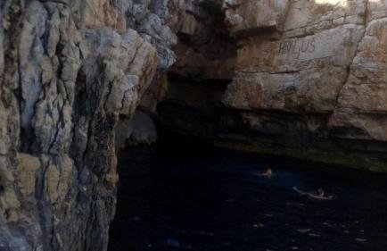 Cottage Melita the Apartment for Animal Lovers - Foto 57