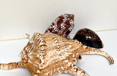 A secluded self contained Country Suite with a view - parking, easy access to Bath - Photo 6