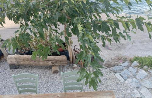 Εlounda Menta Mare - Foto 41