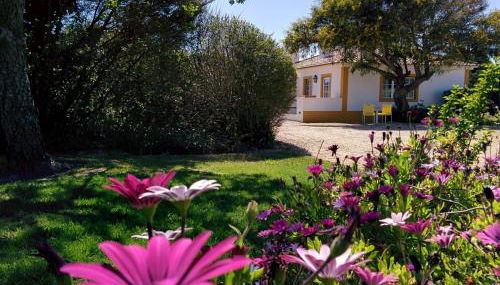 Casas das Amoreiras - Foto 2, Garden