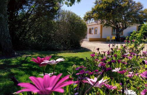 Casas das Amoreiras - Foto 2