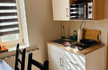 Alter Gutshof Kromlau Direkt am Schloss und Rhododendronpark, Terasse und Parkplatz - Foto 11