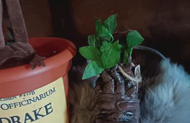 La Pensine du célèbre sorcier - Foto 22