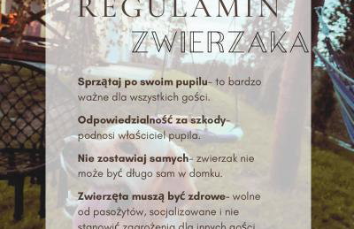 Domki pod Brzózką - Foto 29