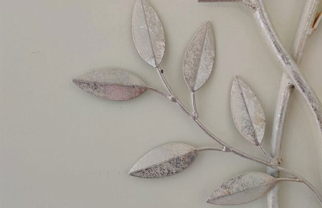 Corso Experience - Photo 18