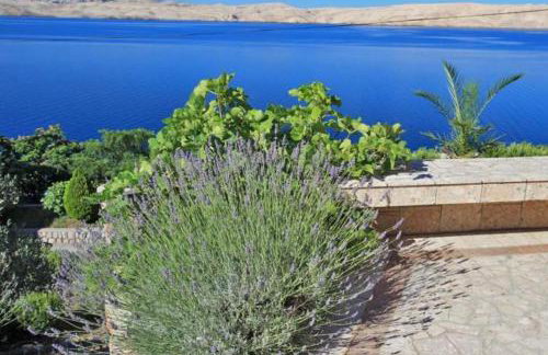 Apartments Angela - Foto 11