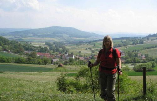 Holiday home Bauernhauschen in the Rhon - Foto 15