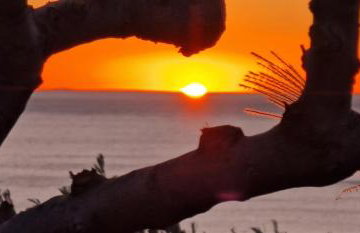 Casa di Olive - Foto 57