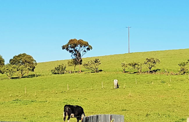 Coragulac House Cottages - Foto 57