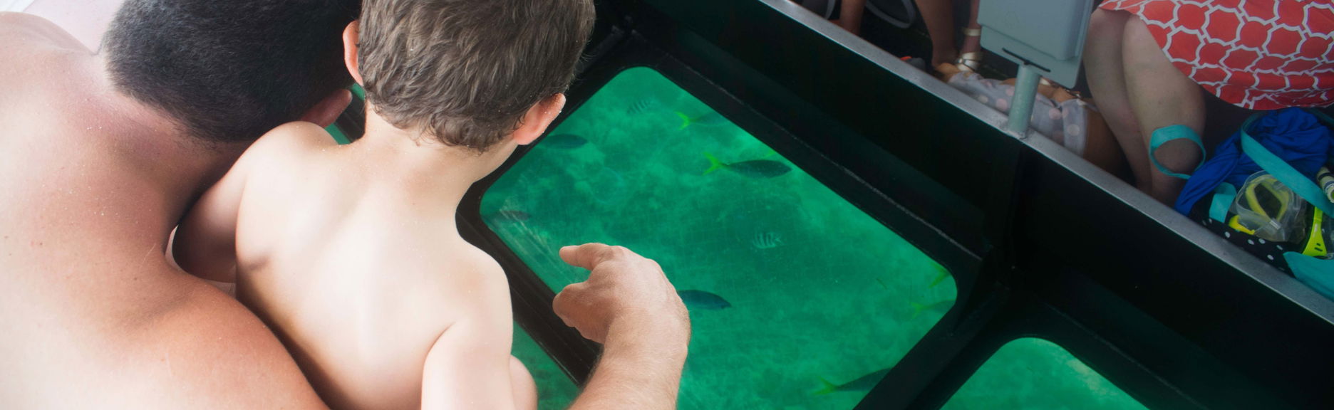 Glass Bottomed Boat Tour