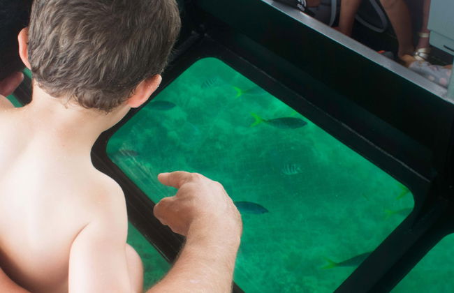 Glass Bottomed Boat Tour - Photo 1