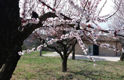 DOMUS FILMAR - Foto 16