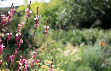 Agriturismo TerraMadre - Foto 75