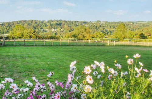 Silver Birch Lodge - Foto 18