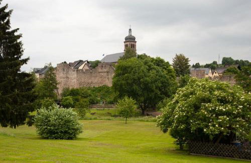 Eifel Relax - Foto 14