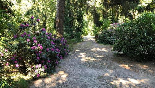 Ferienhaus Hudemühlen - Foto 3