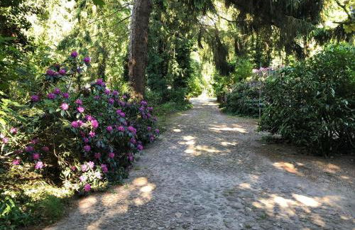 Ferienhaus Hudemühlen - Photo 3