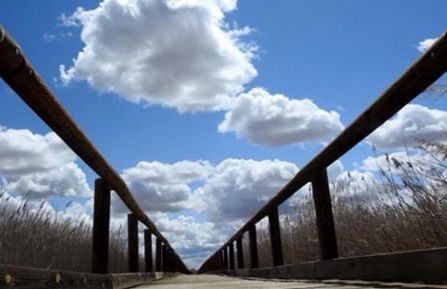 La Casa de los Abuelos - Foto 47